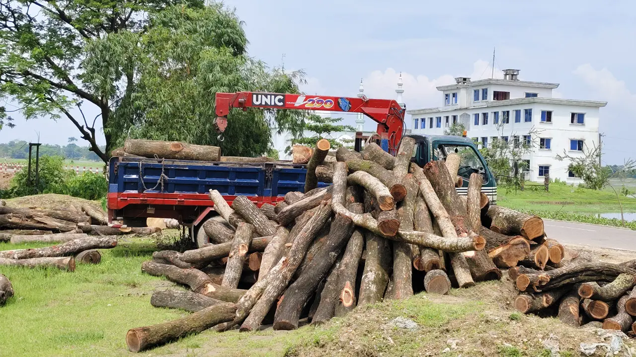 রাস্তা সম্প্রসারণের দোহাই দিয়ে ৪ হাজার ৫০০ গাছ কাটছে বন বিভাগ