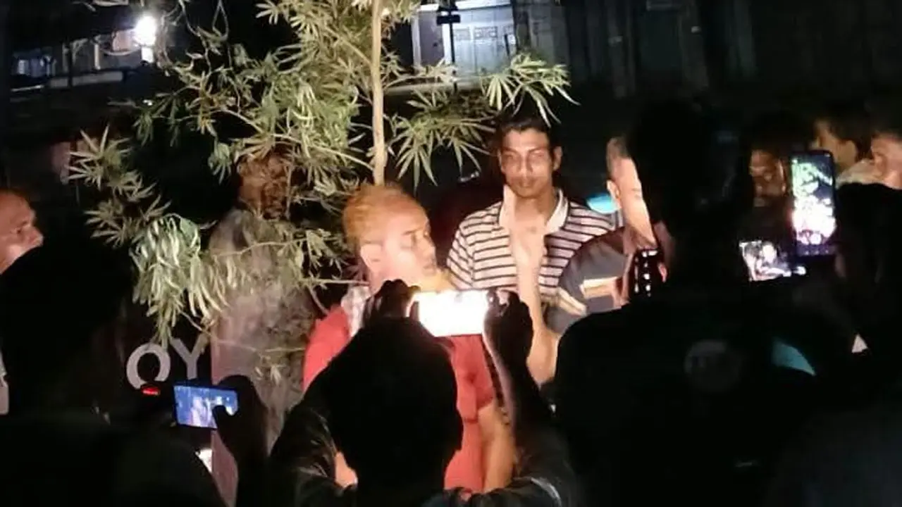বাড়িতে বিশেষ পরিচর্যায় চলছিল গাঁজা চাষ, গাছসহ আটক ১