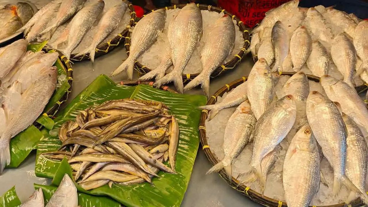 বাজারে সরবরাহ থাকলেও নাগালের বাইরে ইলিশ