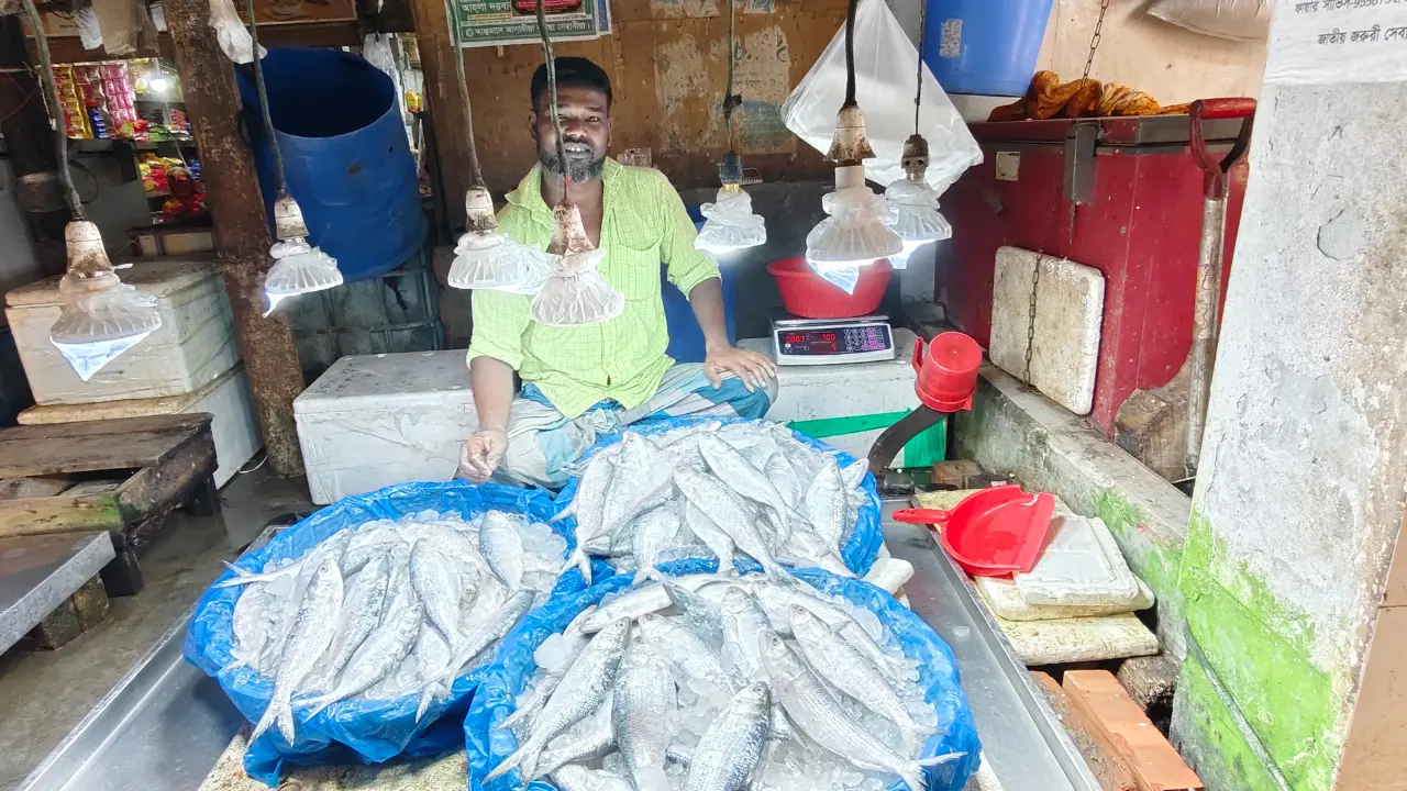 কোল্ড স্টোরেজের ইলিশেও স্বস্তি নেই, দাম ২ হাজার ৫০০