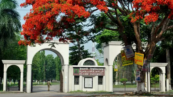 র‍্যাগিং আতঙ্কে নবীনরা, ‘ম্যানার শেখানো’র নামে নির্যাতনের অভিযোগ