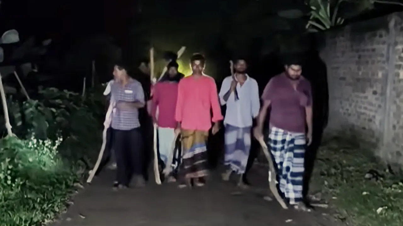 জামালপুরে ‘বাঘ’ আতঙ্ক, রাতে লাঠিসোঁটা নিয়ে গ্রামবাসীর পাহারা