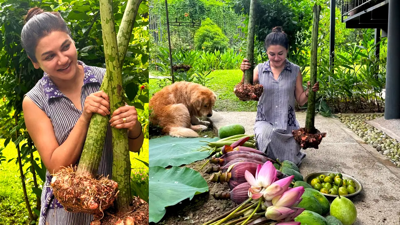 জয়ার কৃষি : ফলনে অবাক ভক্তরা, উচ্ছ্বসিত অভিনেত্রীও