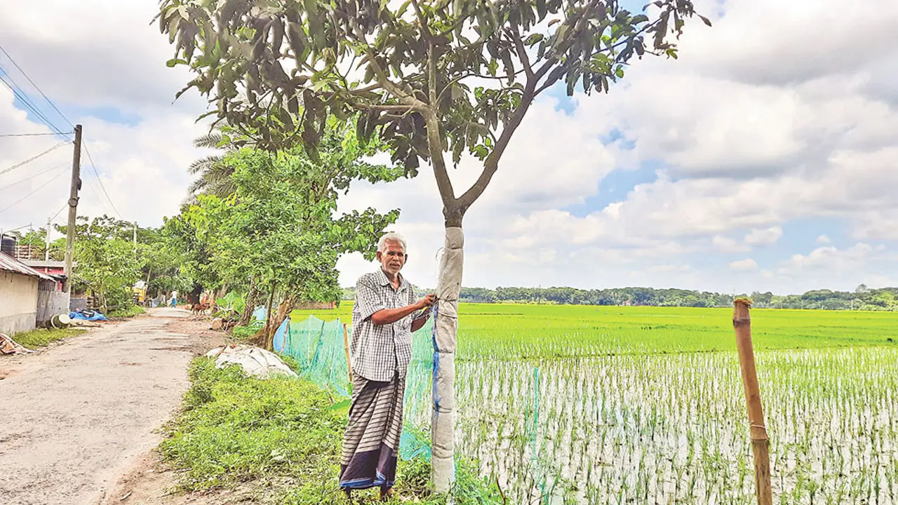 রাস্তার ধারে গাছ লাগান, পরিচর্যাও করেন তিনি