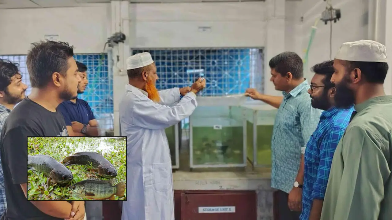 আড়িয়াল বিলের কইসহ ৫ প্রজাতির মাছে মাইক্রোপ্লাস্টিকের উপস্থিতি