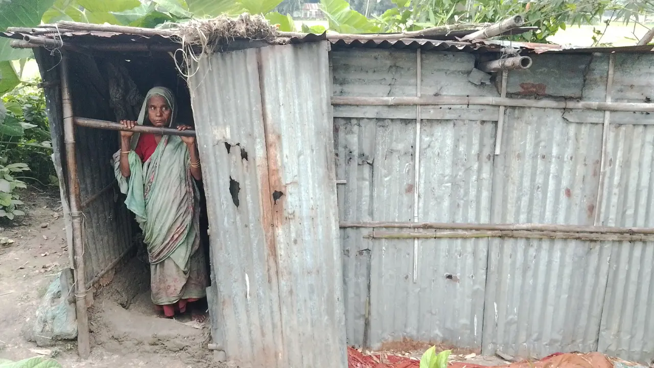 স্বামী-সন্তান ছেড়ে গেছে, বেঁচে থাকার করুণ লড়াইয়ে একা আলেকজন বেওয়া