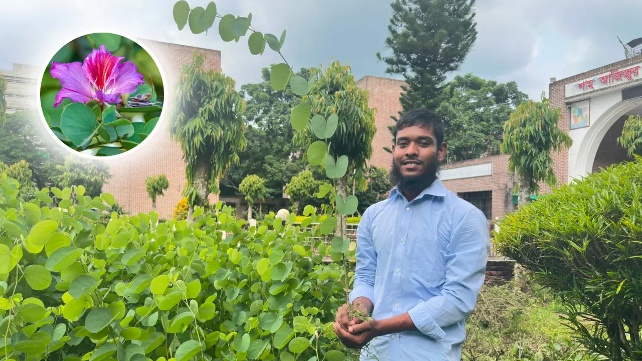 ইবি প্রাঙ্গণে হাজারো ‘রক্তকাঞ্চনের বিপ্লব’