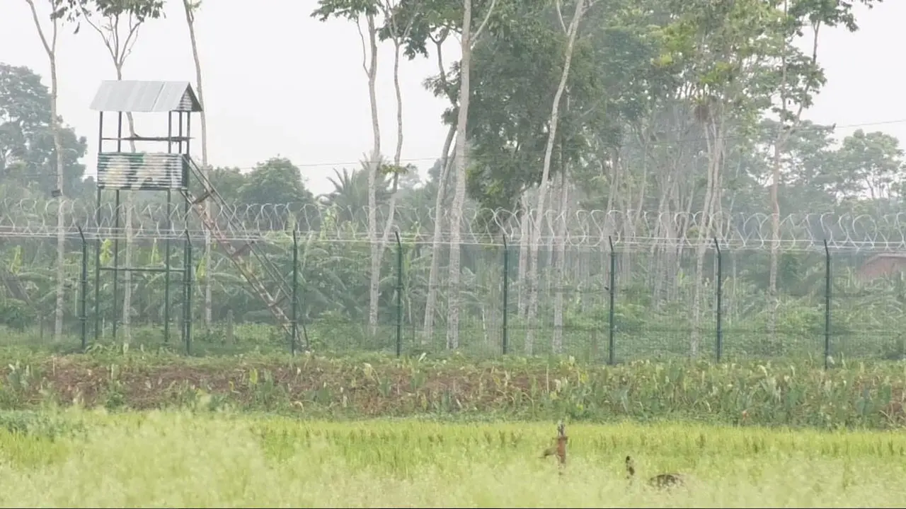 মহেশপুর সীমান্তে বিএসএফের গুলিতে বাংলাদেশি যুবক আহত