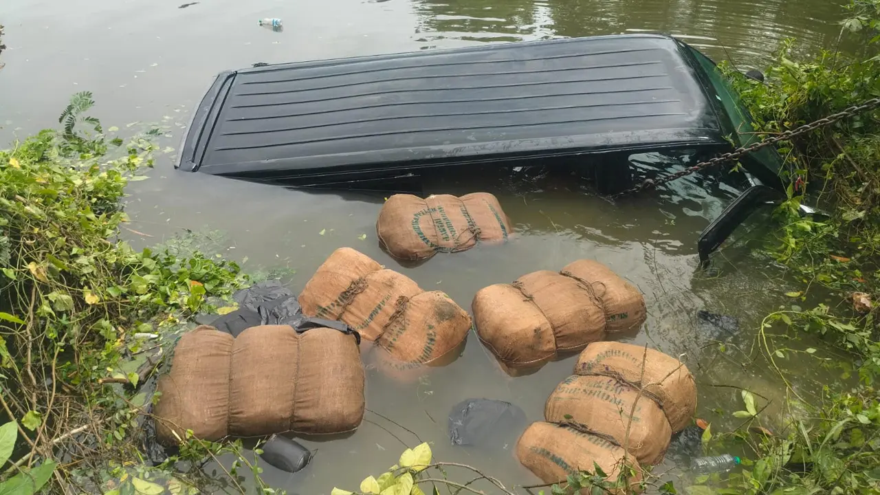 ধাওয়া খেয়ে পুকুরে মাইক্রোবাস, ভেসে উঠল ৯ বস্তা গাঁজা