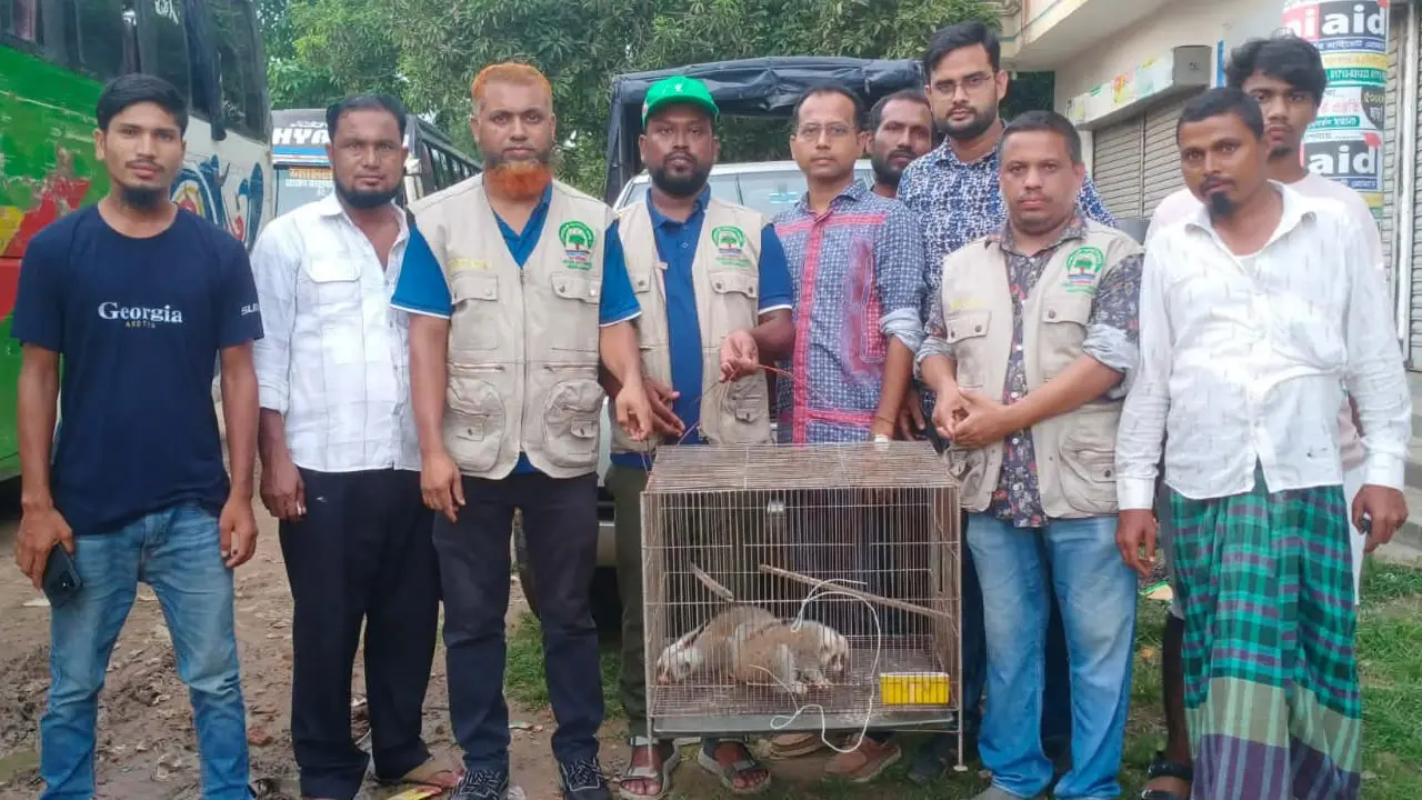 ব্যাগে পাচারের সময় ময়মনসিংহে দুটি বিপন্ন লজ্জাবতী বানর উদ্ধার