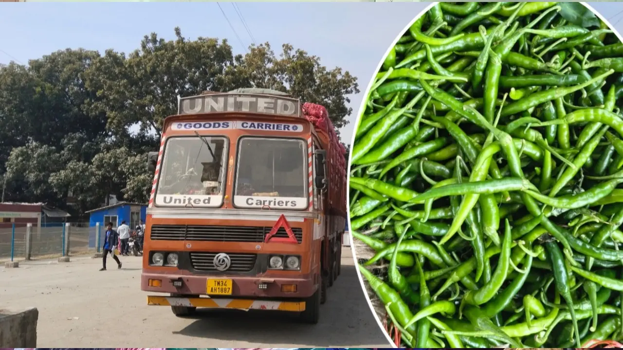 ভোমরা স্থলবন্দর দিয়ে দ্বিতীয় দিনে এলো ৪৬৭ টন ভারতীয় কাঁচা মরিচ