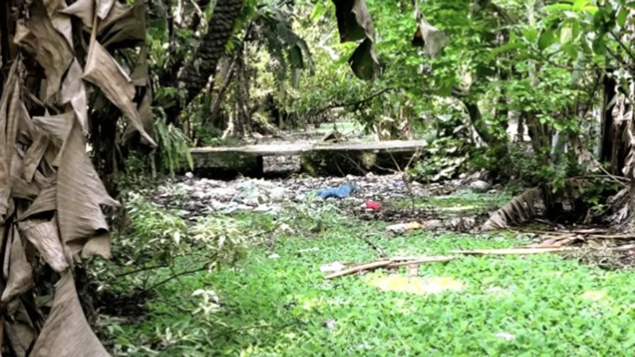 দখল-দূষণে অস্তিত্ব সংকটে নাটোরের ‘জিয়া খাল’