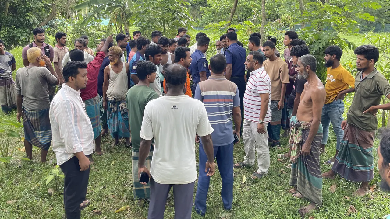 গরুর ঘাস কাটতে গিয়ে বিদ্যুৎস্পৃষ্টে বৃদ্ধের মৃত্যু