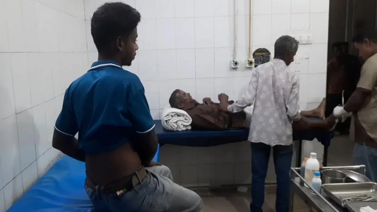 পঞ্চগড়ে শিয়ালের আক্রমণে আহত ৭