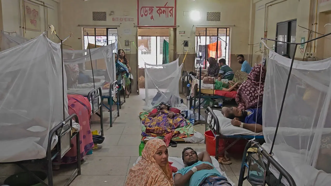 ডেঙ্গু আক্রান্তে বরিশাল বিভাগে শীর্ষে পিরোজপুর