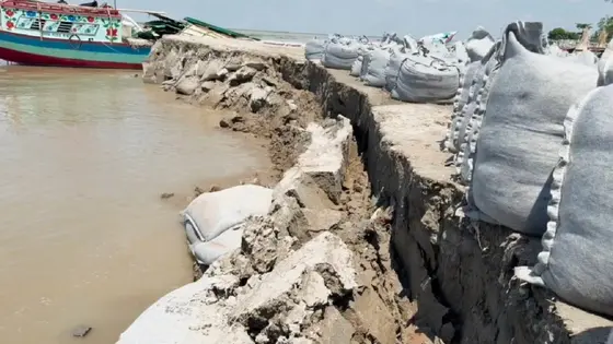 পদ্মায় ভয়াবহ ভাঙন, আতঙ্কে ঘর সরাচ্ছেন জাজিরার বাসিন্দারা