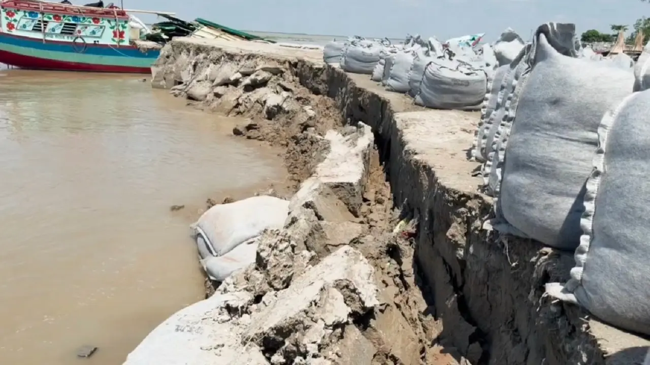 পদ্মায় ভয়াবহ ভাঙন, আতঙ্কে ঘর সরাচ্ছেন জাজিরার বাসিন্দারা