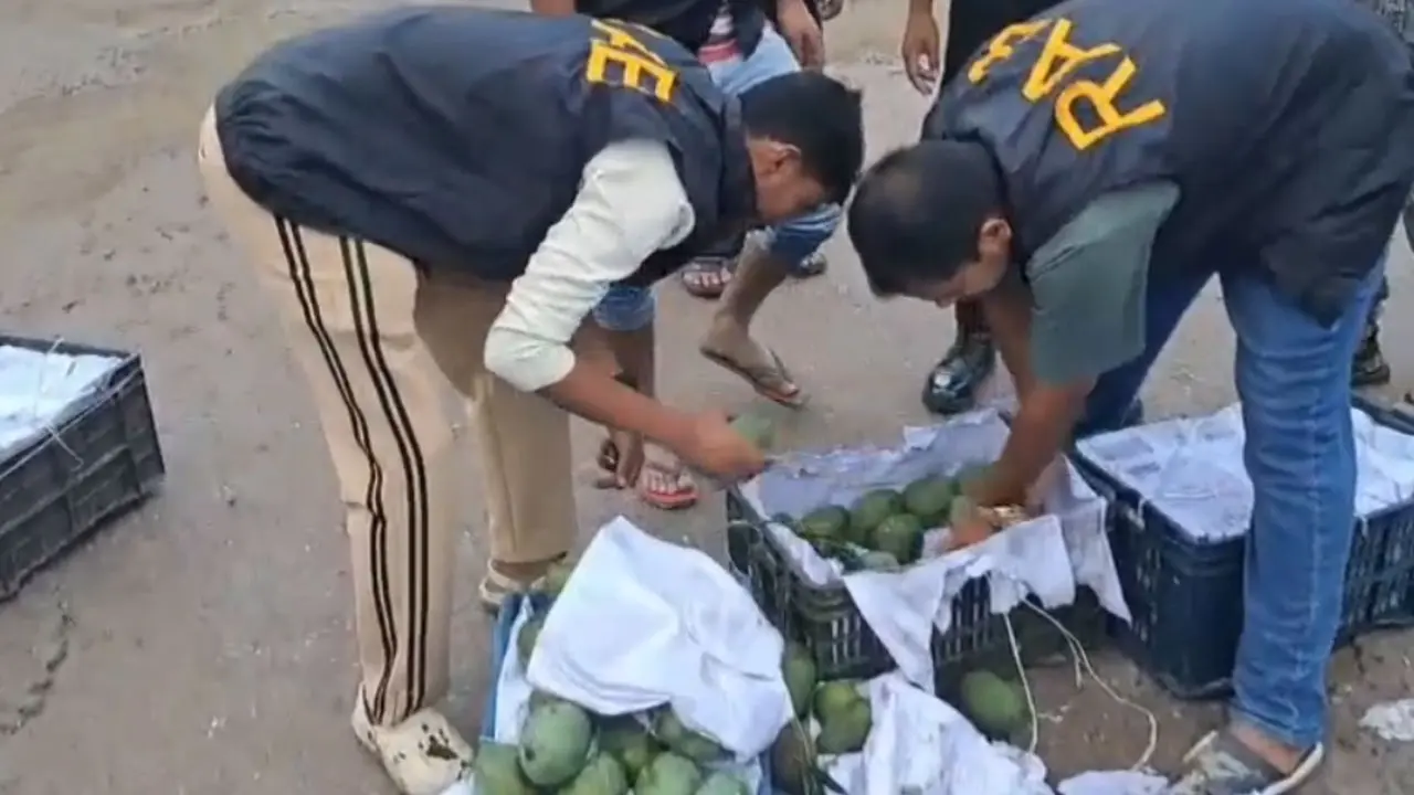 আমের ক্যারেটে ফেয়ারডিল, ট্রাকসহ গ্রেপ্তার মাদক কারবারি