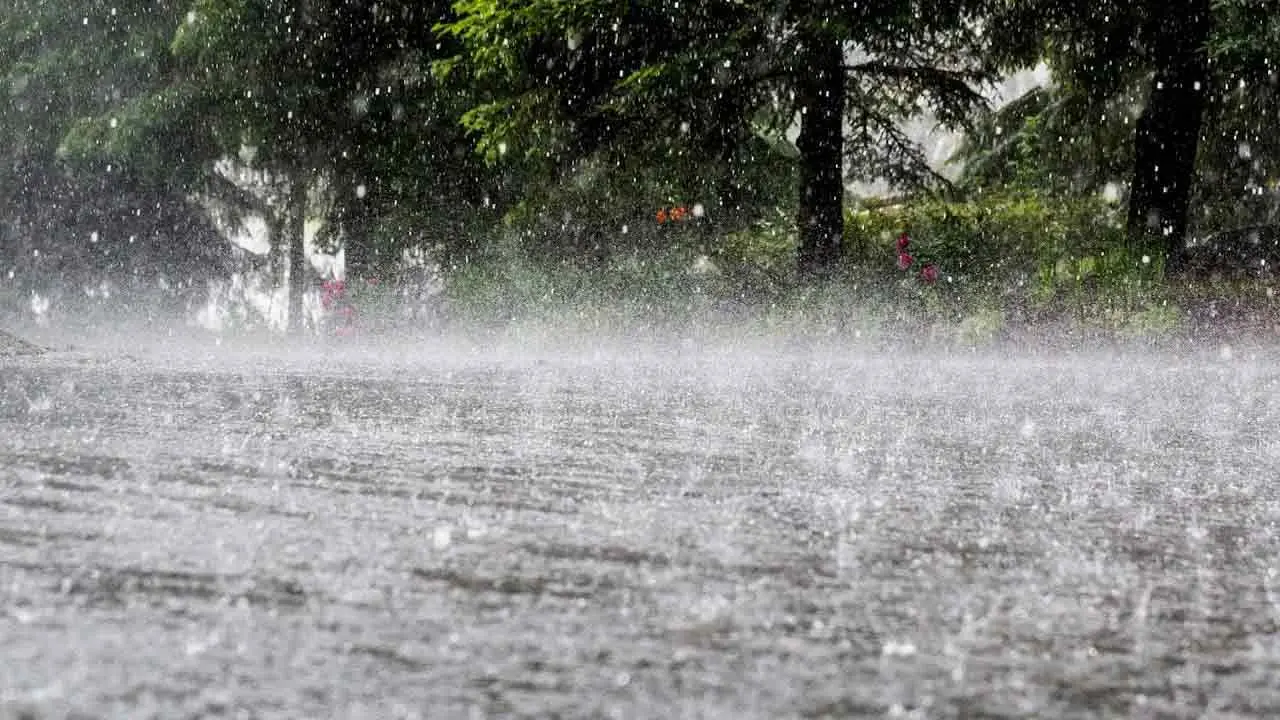 তিন বিভাগে ভারী বৃষ্টির আভাস