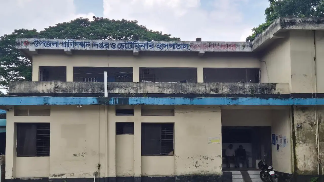 রাজবাড়ী সদর প্রাণিসম্পদ দপ্তরে ১১ পদের বিপরীতে কর্মরত ৩ জন