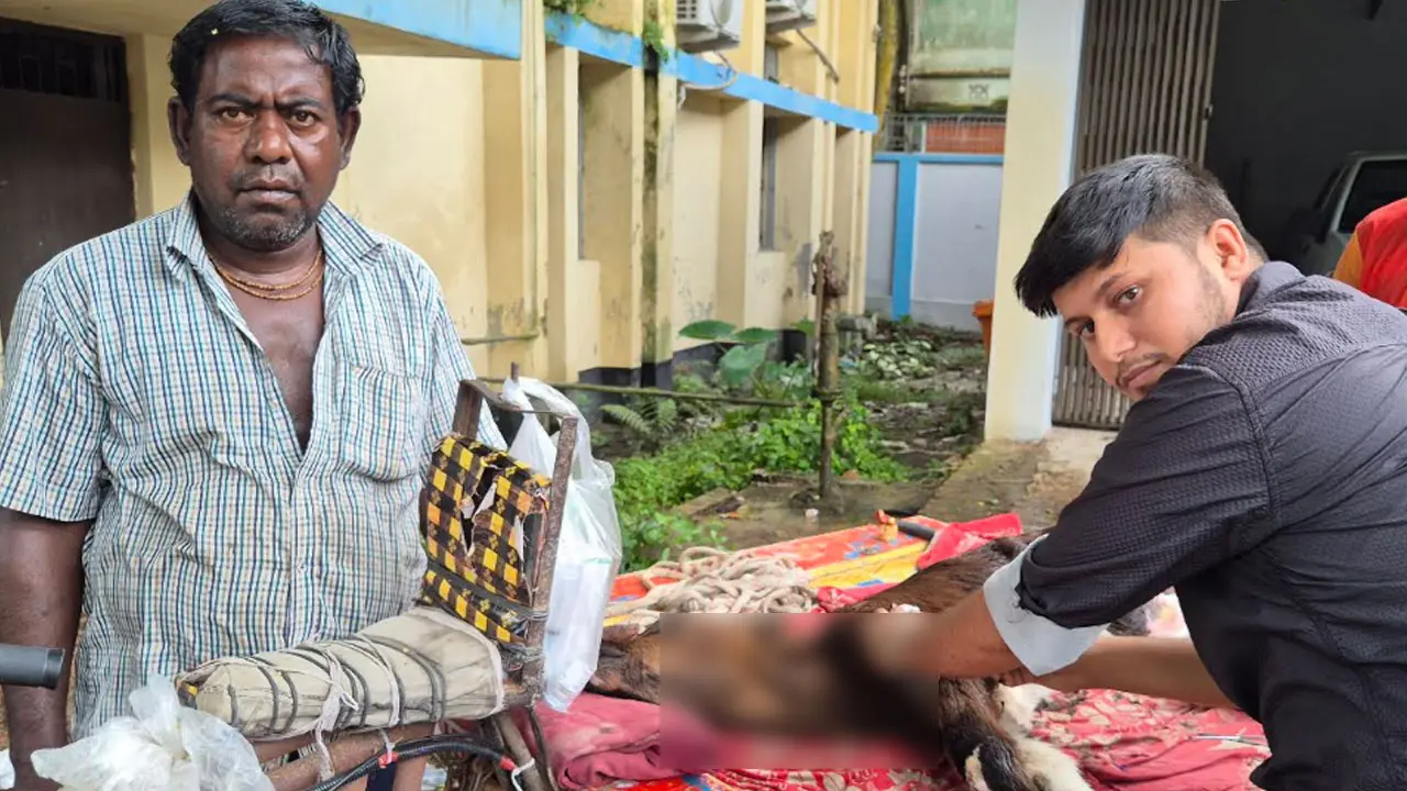 রাজবাড়ীতে লাম্পি স্কিনে বিপাকে গরু খামারিরা, টিকা সরবরাহ অপ্রতুল