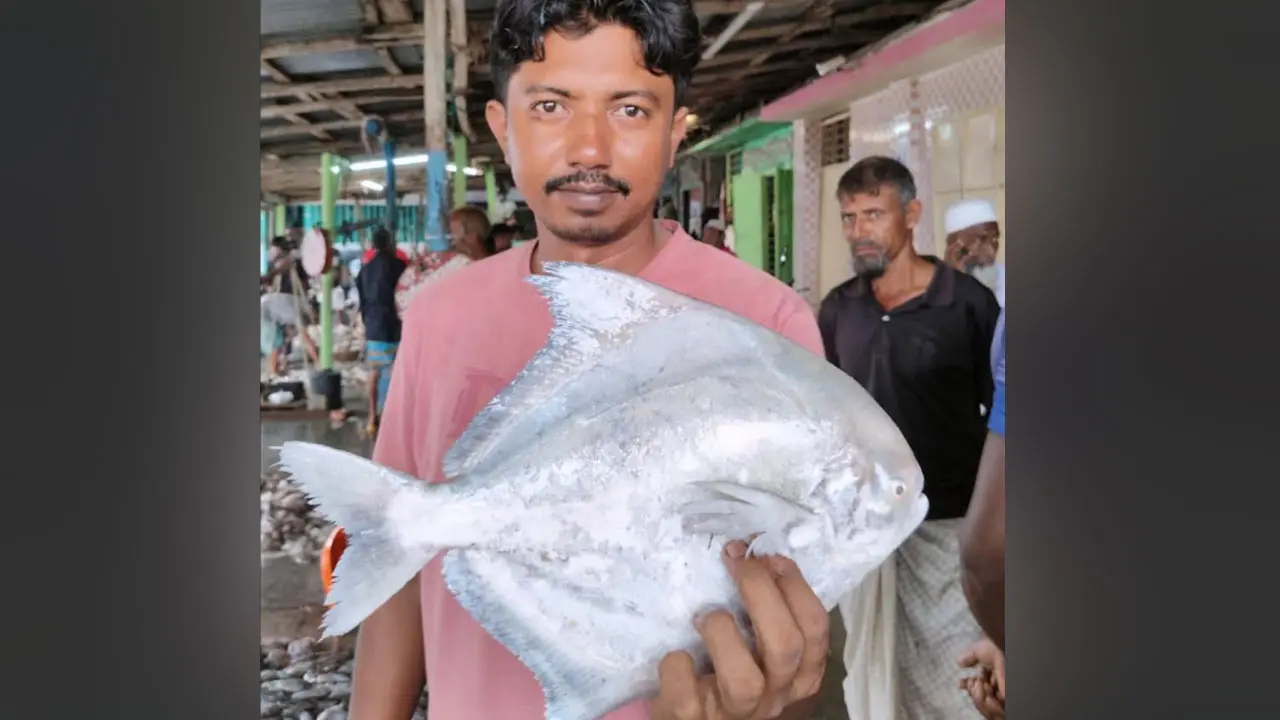 বঙ্গোপসাগরে ধরা পড়ল ১.৭ কেজির রূপচাঁদা, ৪ হাজার টাকায় বিক্রি