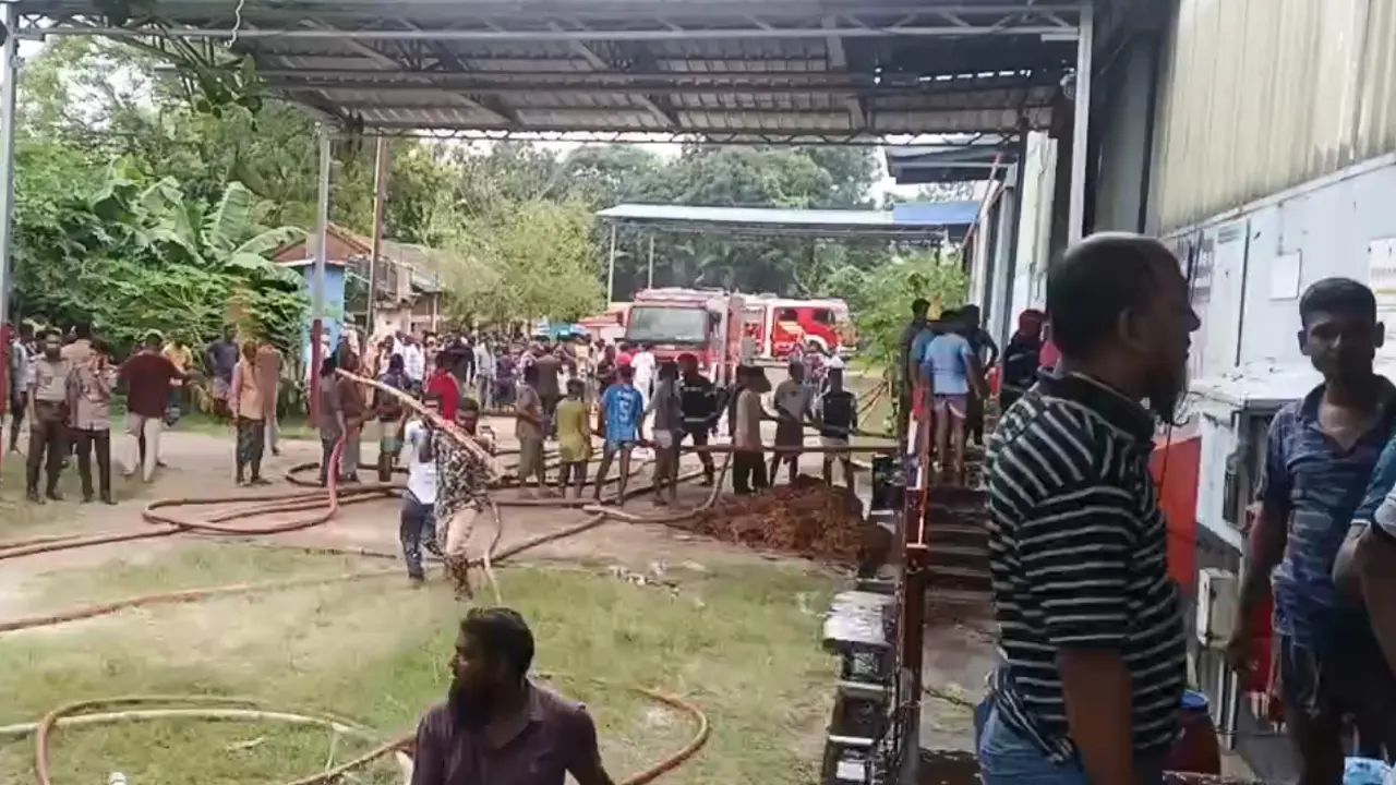 আশুলিয়ায় টোবাকোর গোডাউনে আগুন, নিয়ন্ত্রণে ৬ ইউনিট