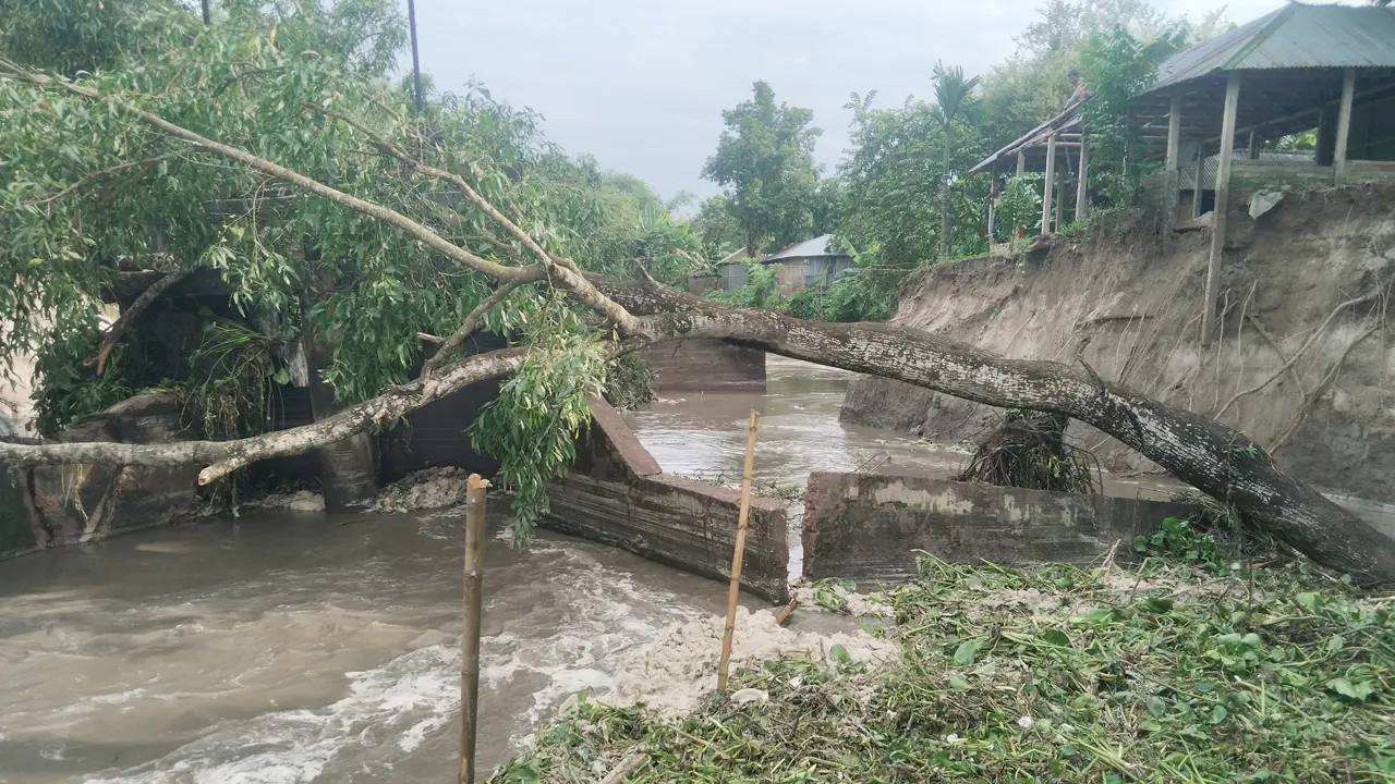 নীলফামারীতে স্লুইসগেট ধসে নদীগর্ভে বসতবাড়ি