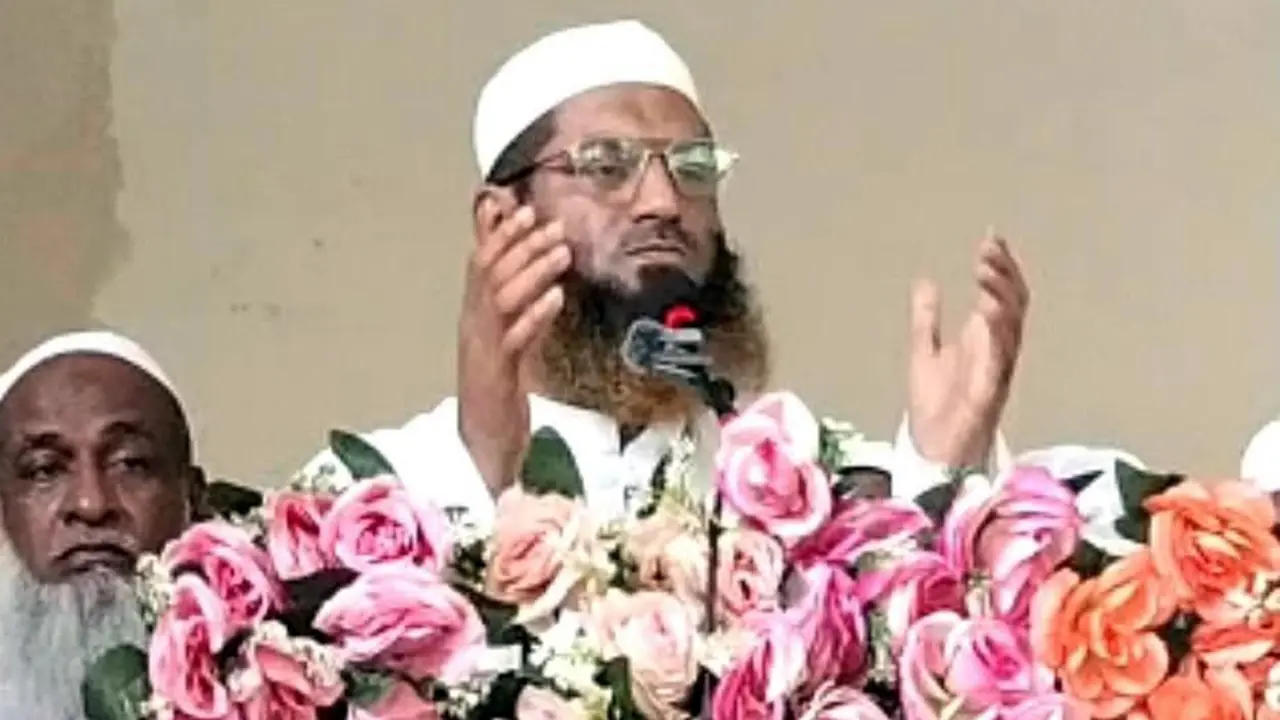 রয়েল রিসোর্টে আমাকে হত্যার ষড়যন্ত্র সফল হয়নি: মামুনুল হক