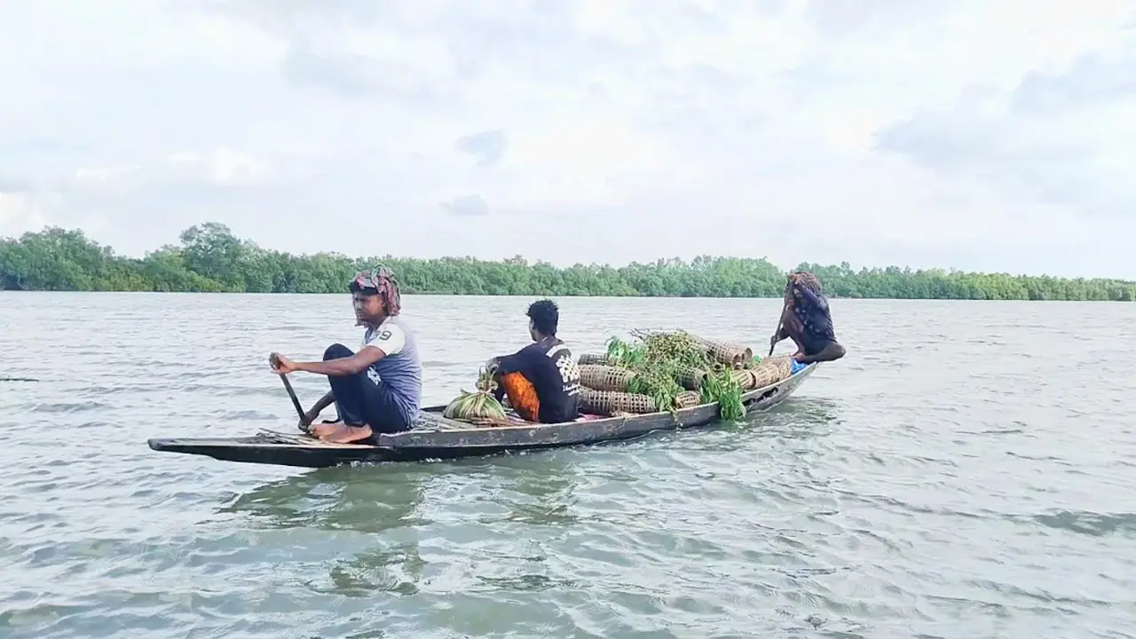 নিষেধাজ্ঞার মধ্যেও সুন্দরবনে ঢুকছেন মানুষ, ১৮ দিনে ৪৪ জন আটক