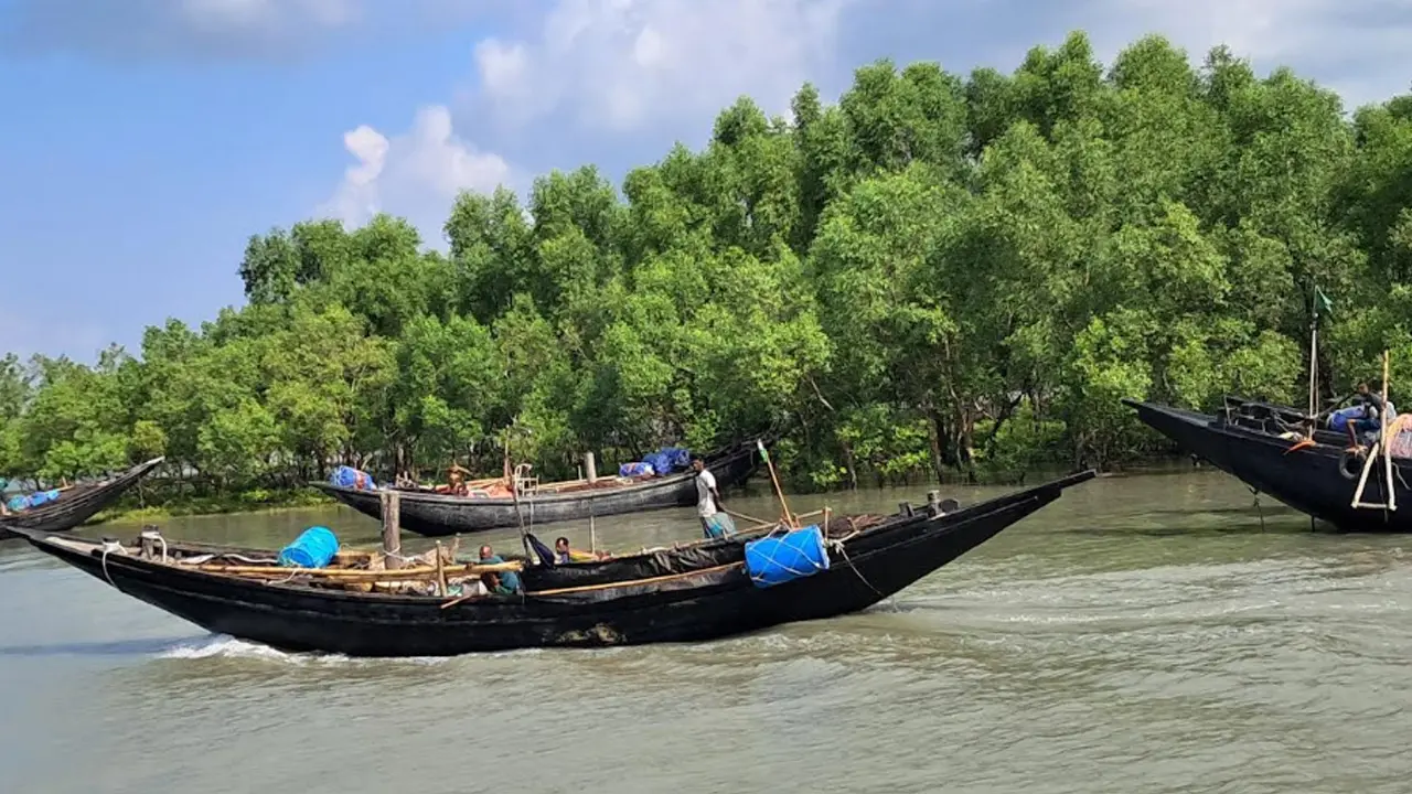 ৩ মাসের বিরতিতে প্রাণ ফিরেছে সুন্দরবনে, ১ সেপ্টেম্বর খুলছে দ্বার