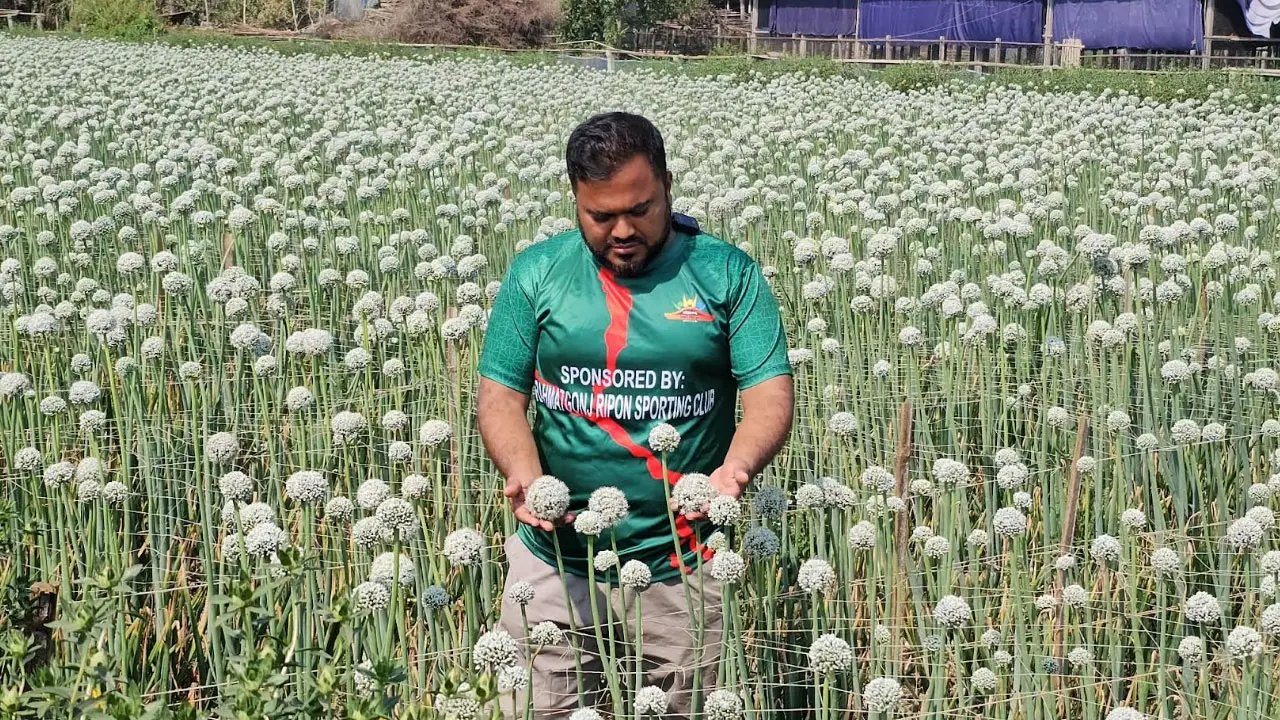 পেঁয়াজের বীজ চাষে কৃষি উদ্যোক্তা হুমায়নের বাজিমাত
