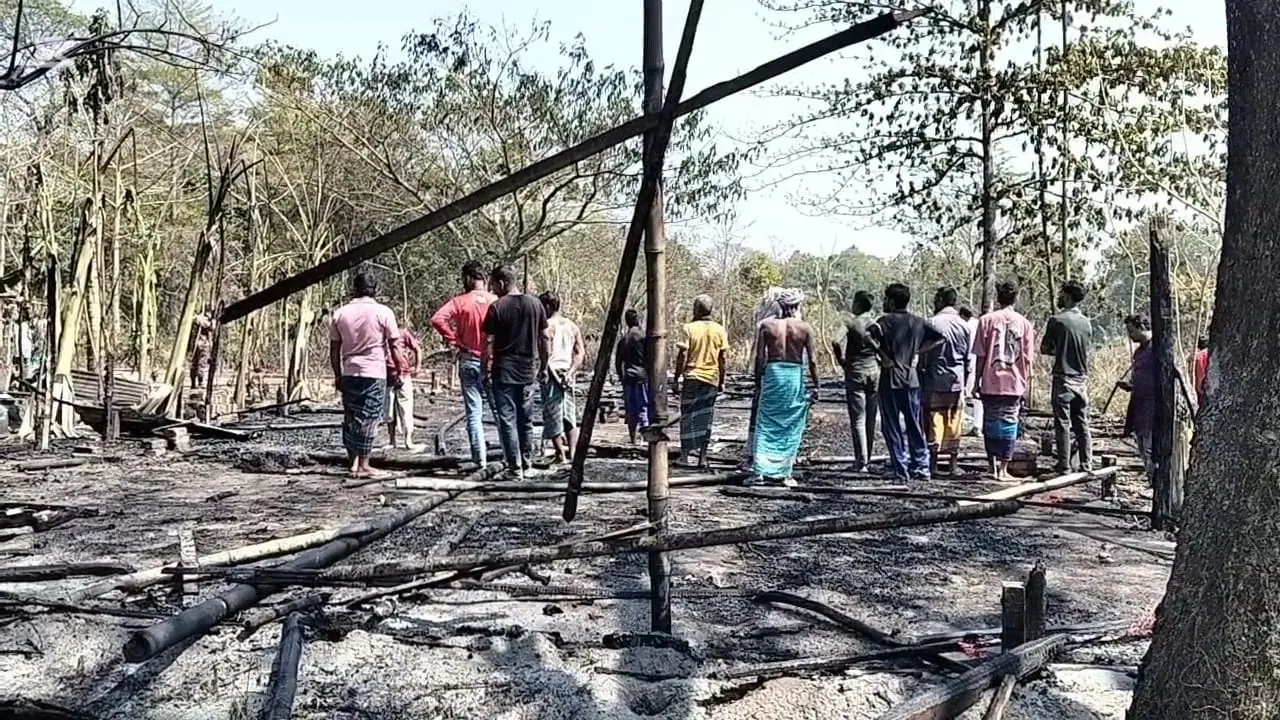 মাদারীপুরে খামারের ২০ হাজার মুরগিসহ গাছপালা পুড়ে ছাই