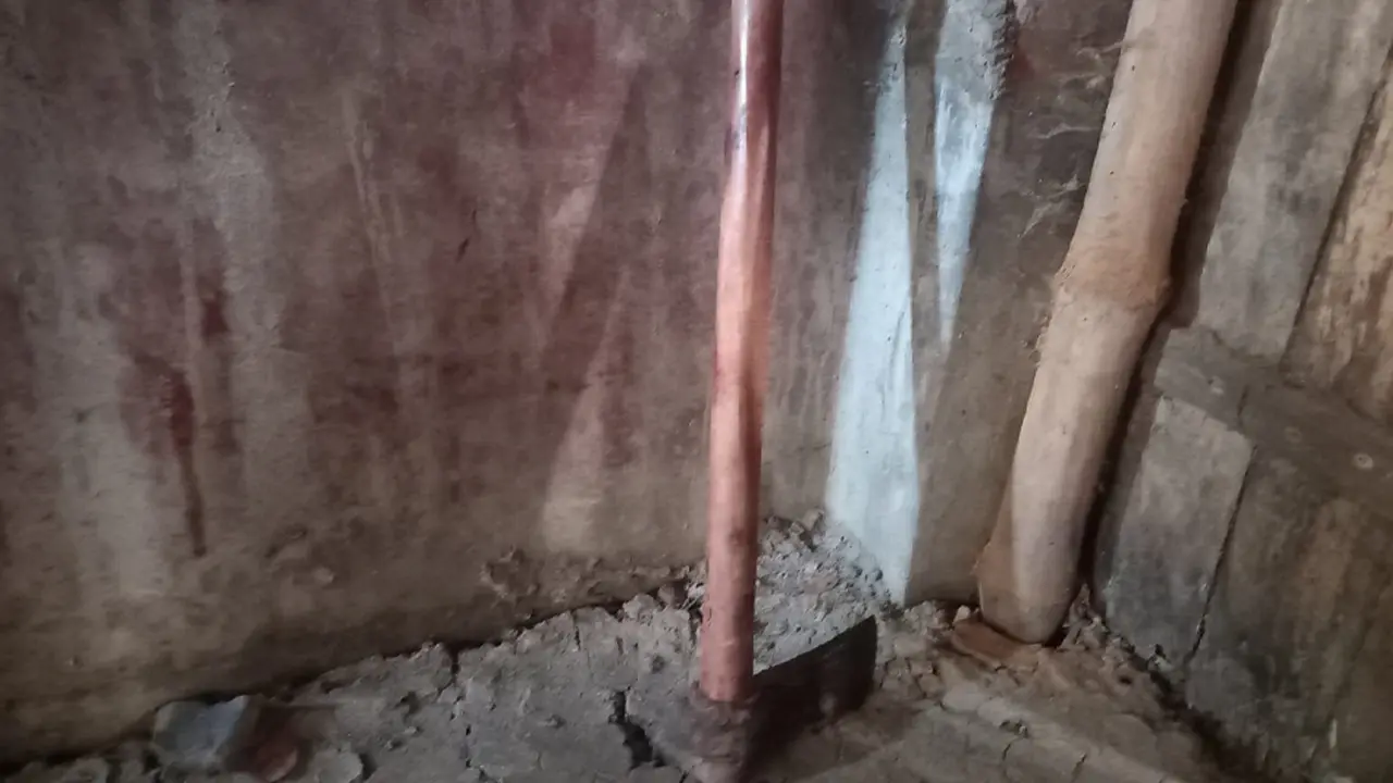 বিছানায় পড়ে ছিল স্বামীর গলাকাটা মরদেহ, স্ত্রী পলাতক