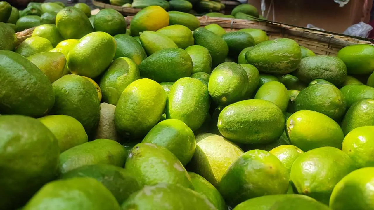 চোখ রাঙাচ্ছে লেবু, ছোঁয়া যাচ্ছে না বেগুন
