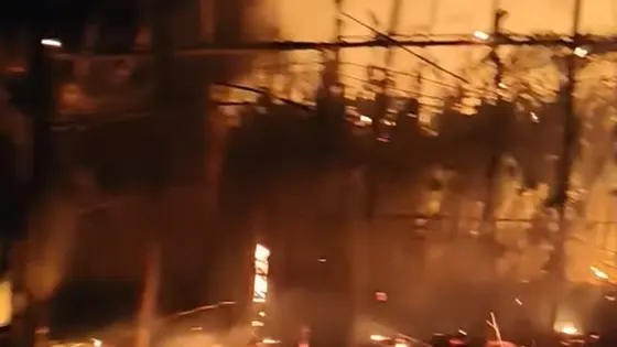 রাজশাহীতে আগুনে পুড়ল চাষির দুই বিঘা পানের বরজ
