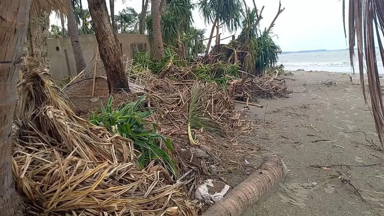 সেন্টমার্টিনে কেয়াবন উজাড় করে রিসোর্ট নির্মাণ, পরিবেশ অধিদপ্তরের মামলা