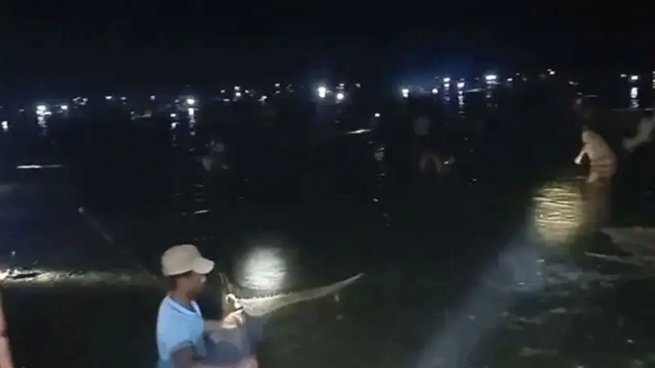 ৮ গ্রামের মানুষ মিলে জলমহালের অর্ধকোটি টাকার মাছ লুটপাট