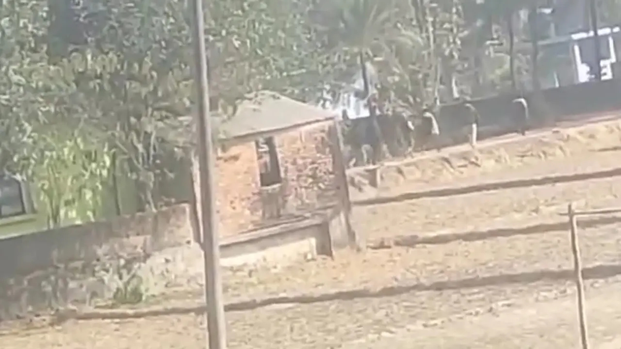 চট্টগ্রামে সন্ত্রাসীদের গুলি, এলাকায় আতঙ্ক