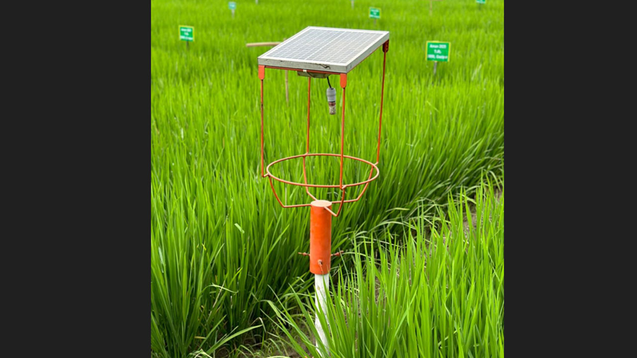 dhakapost