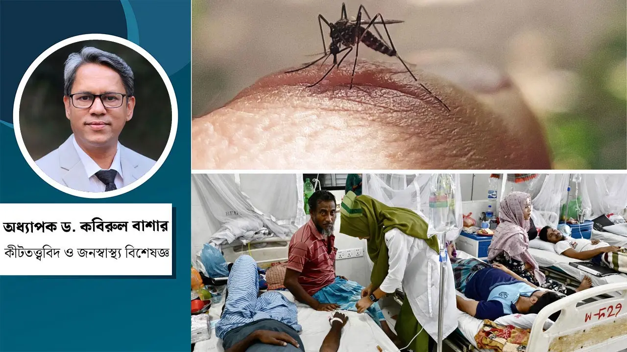 ডেঙ্গু নিয়ন্ত্রণে পুরোনো ব্যর্থতা, নতুন বছরে কি পরিবর্তন সম্ভব?