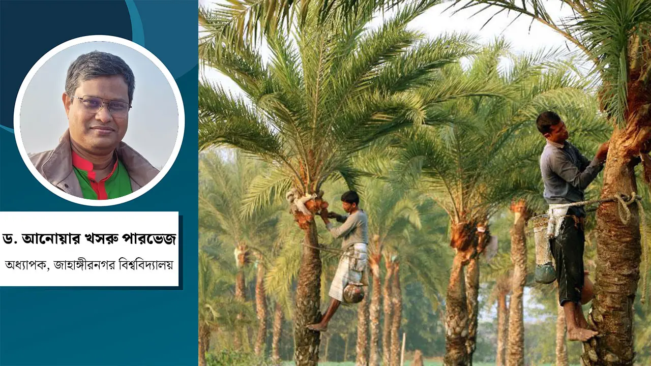 খেজুরের কাঁচা রস খেলে কি নিপাহ ভাইরাস সংক্রমণের ঝুঁকি বাড়ে?