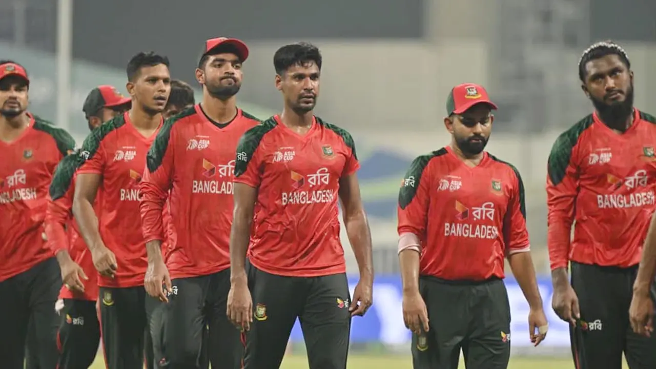 ‘শেখ হাসিনা ভারতে নিরাপদে থাকলে, ক্রিকেটাররা কেন নয়?’