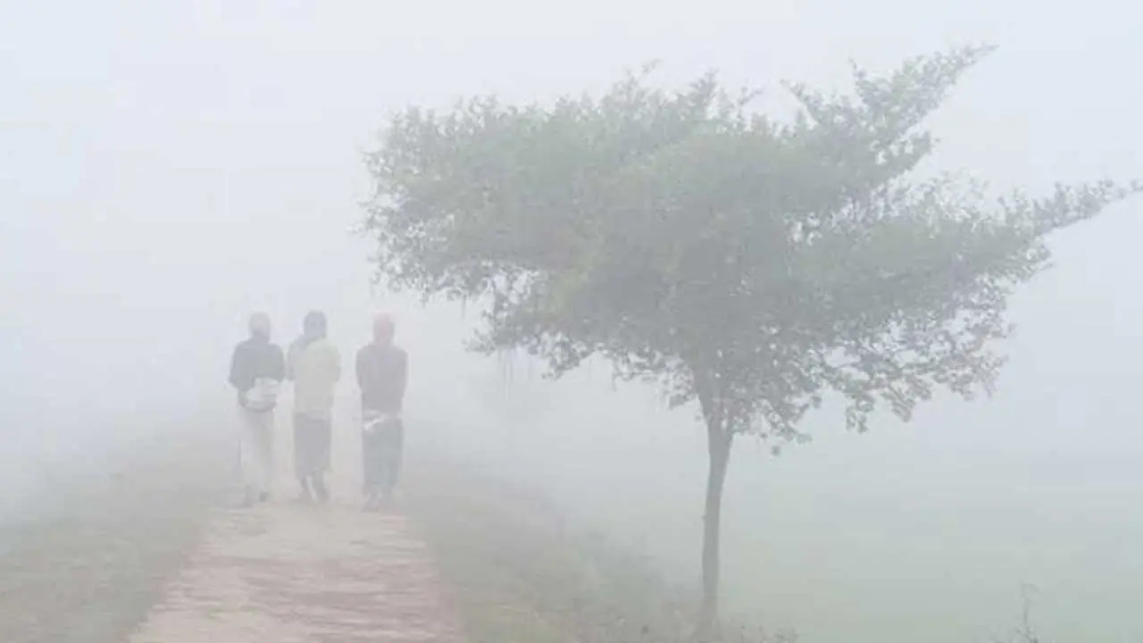 ৯ জেলায় শৈত্যপ্রবাহ অব্যাহত থাকার আভাস