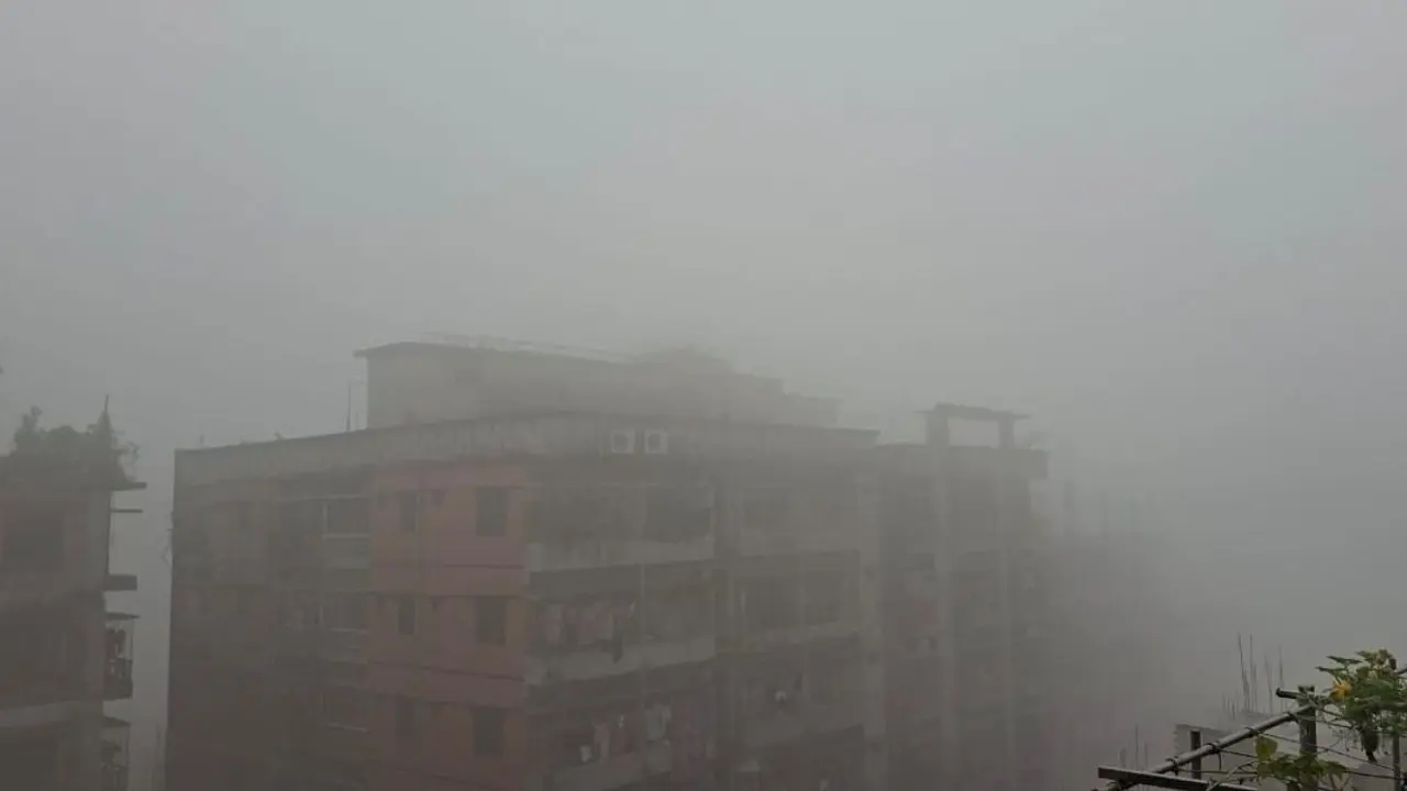 দুপুর পর্যন্ত ঘন কুয়াশায় ঢাকা থাকবে রাজধানী, বাড়বে শীত