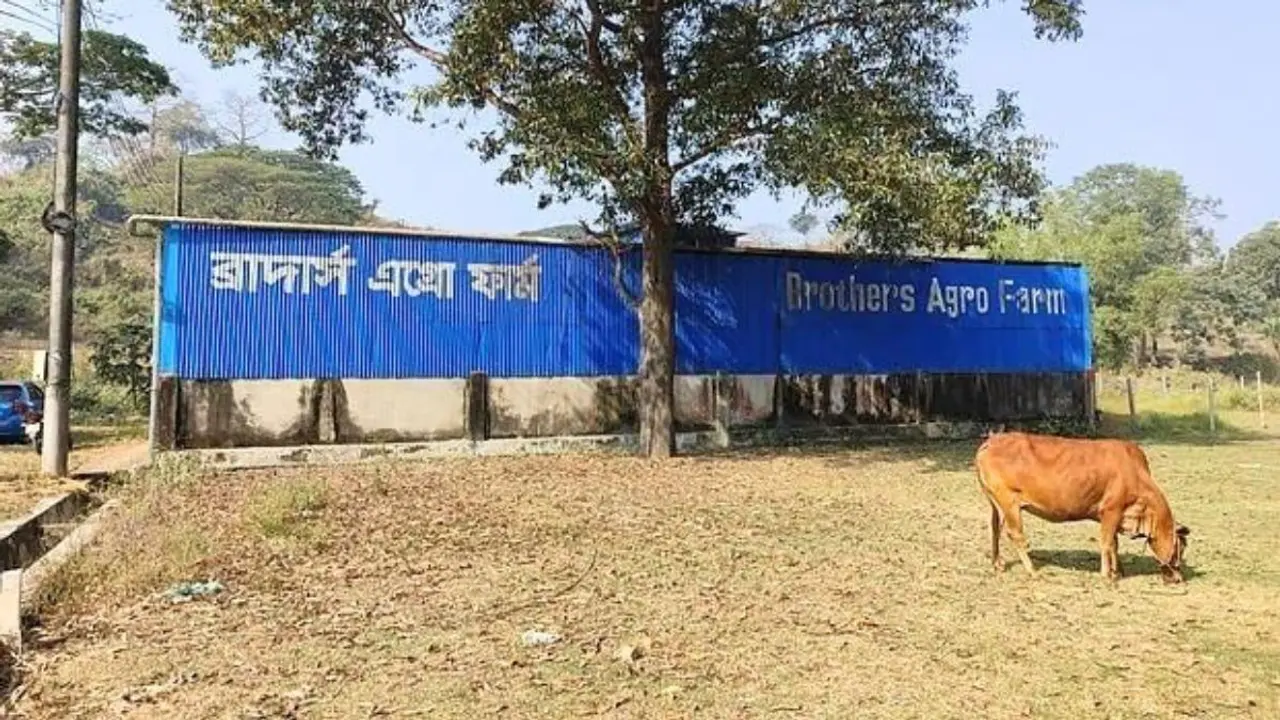 সীতাকুণ্ডে খামারের কর্মীকে কুপিয়ে জখম, ৭ গরু লুট