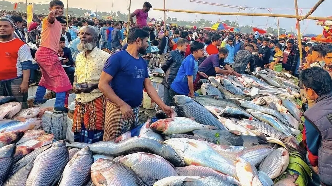জামাই মেলায় মাছ কেনা নিয়ে জামাই-শ্বশুরের প্রতিযোগিতা