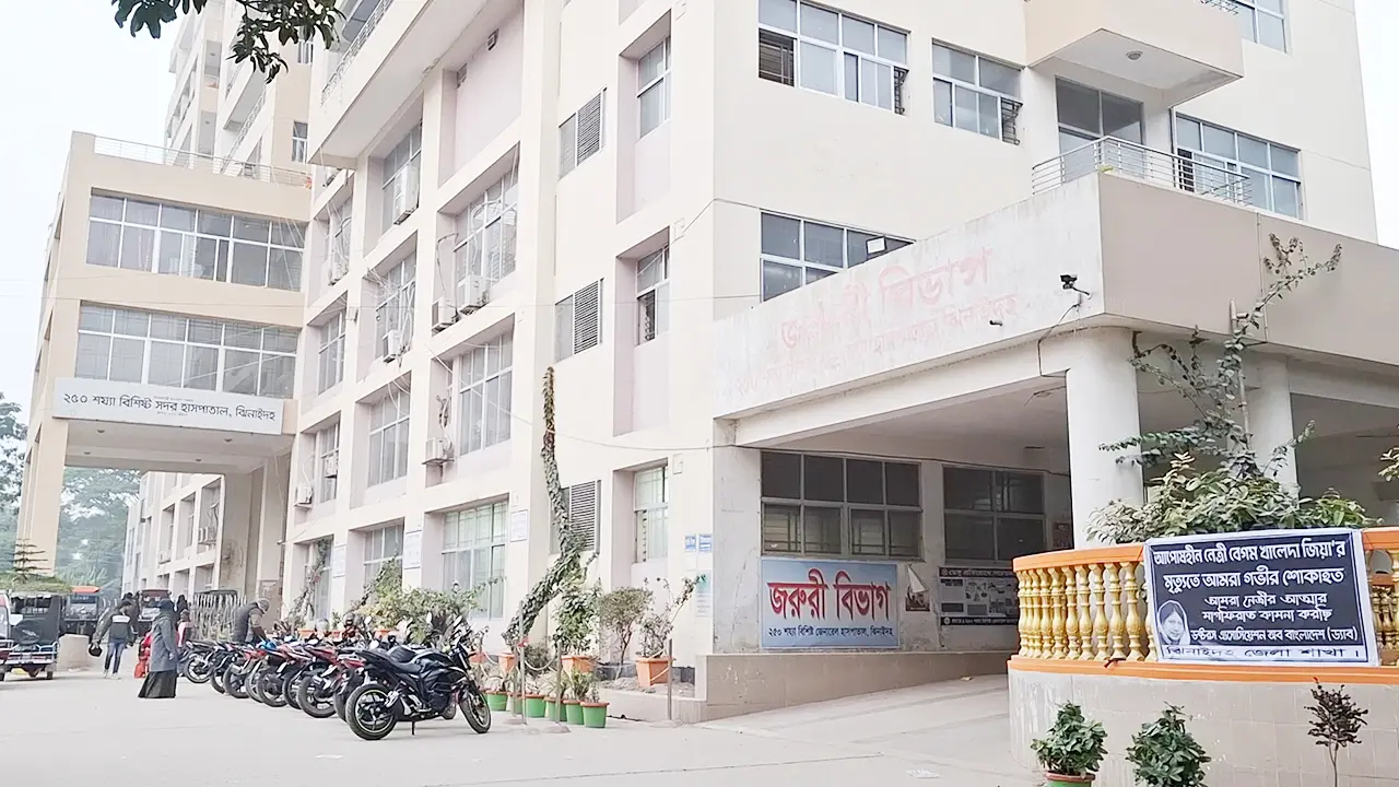 ঝিনাইদহে দুই যুবক ও এক নারীকে গাছে বেঁধে নির্যাতন, যা জানা যাচ্ছে