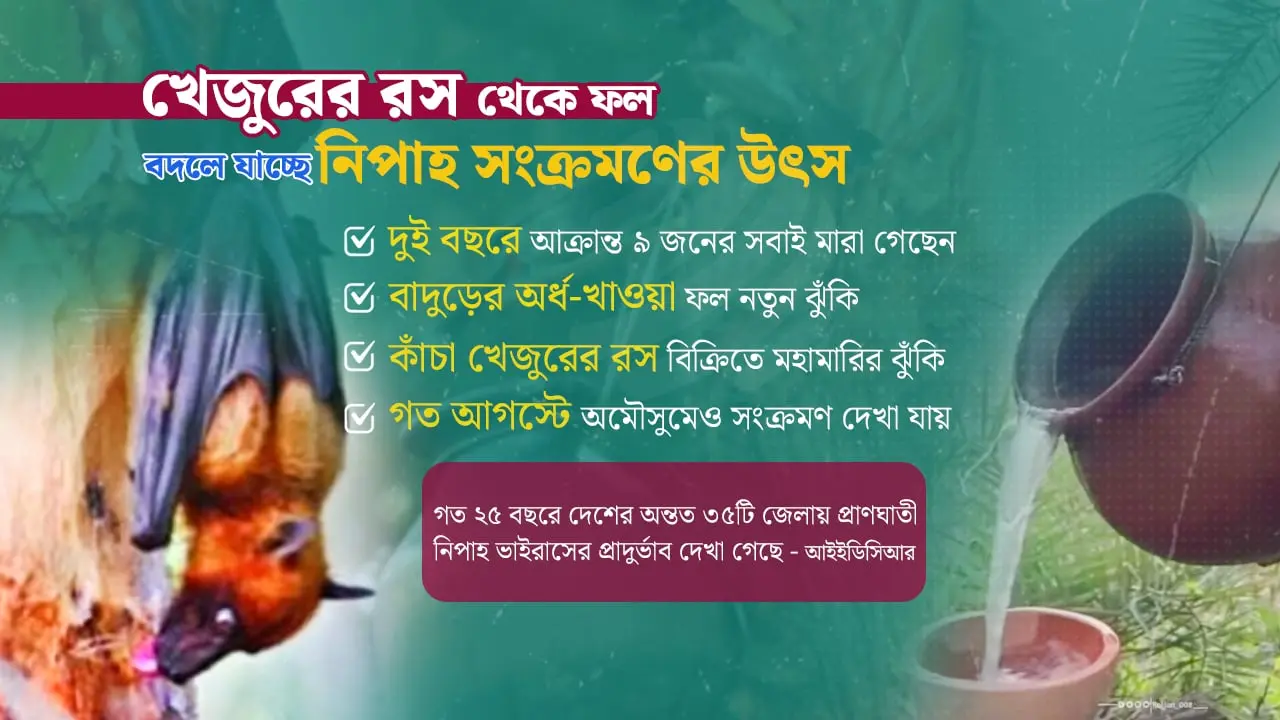 উদ্বেগের কারণ হচ্ছে নিপাহ ভাইরাস, ‘অনিরাপদ’ খেজুরের রসে বাড়ছে ঝুঁকি