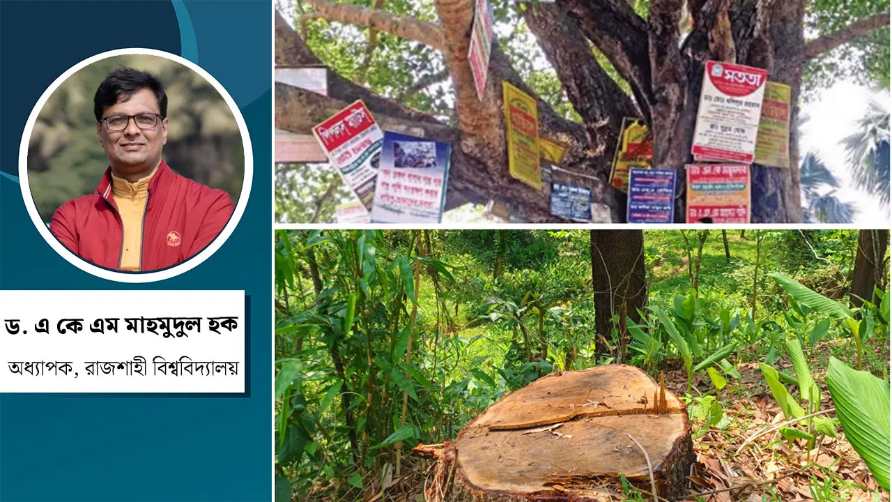 বন ও বৃক্ষ সংরক্ষণ : আইন নাকি প্রণোদনা?